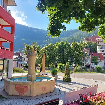 Apartement Am Waldrand Bad Wildbad Dış mekan fotoğraf
