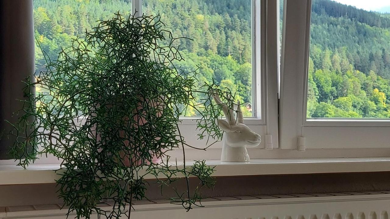 Apartement Am Waldrand Bad Wildbad Dış mekan fotoğraf